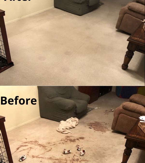Carpet Cleaning 101: (How to Get Chocolate Milk Out of My Carpet)
