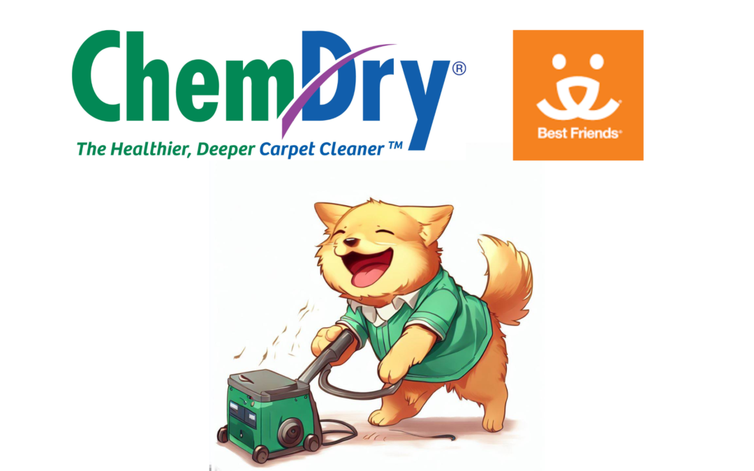 Chem-Dry and Best Friends Animal Rescue: A Powerful Partnership for Cleaner Homes and Happier Pets